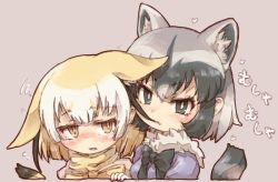 Rule 34 | 2girls, animal ears, black hair, black neckwear, blonde hair, blue eyes, blue sweater, blush, bow, bowtie, commentary request, common raccoon (kemono friends), ears down, extra ears, fang, fennec (kemono friends), fox ears, fox girl, fox tail, fur collar, grey hair, hair in own mouth, highres, kemono friends, kolshica, multicolored hair, multiple girls, nibbling, nose blush, pink sweater, puffy short sleeves, puffy sleeves, raccoon ears, raccoon girl, raccoon tail, short hair, short sleeves, sweater, tail, translation request, white hair, yellow eyes, yellow neckwear
