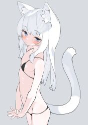 Rule 34 | 1girl, absurdres, animal ear fluff, animal ears, bikini, black bikini, blue eyes, cat ears, cat girl, cat tail, expressionless, flat chest, from side, gingerbullet, grey background, highres, long hair, looking at viewer, navel, original, stomach, swimsuit, tail, white hair