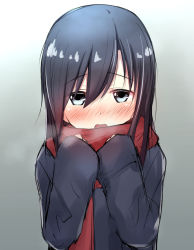 Rule 34 | 1girl, asashio (kancolle), black hair, blue eyes, blush, breath, coat, hair between eyes, hands up, kantai collection, long hair, looking at viewer, nose blush, open mouth, red scarf, scarf, shacho (ko no ha), sleeves past wrists, solo, tareme, upper body