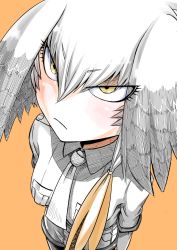 Rule 34 | 10s, 1girl, bird wings, biten, bodystocking, breast pocket, breasts, closed mouth, collared shirt, eyelashes, feathers, frown, grey shirt, grey shorts, hair between eyes, head wings, kemono friends, necktie, orange background, pantyhose, pocket, shirt, shoebill (kemono friends), short sleeves, shorts, silver hair, silver necktie, silver shirt, silver shorts, simple background, solo, tsurime, white necktie, wings, yellow eyes