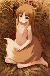 Rule 34 | 00s, 1girl, animal ears, barefoot, chinchickrin, feet, flat chest, holo, nude, solo, spice and wolf, tail, wheat, wolf ears, wolf tail