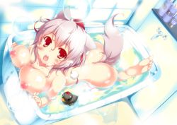 Rule 34 | 1girl, :o, animal ears, ass, barefoot, bath, bathing, bathroom, bathtub, blush, breasts, bubble, feet, female focus, from above, hat, inubashiri momiji, large breasts, looking at viewer, nipples, nude, open mouth, red eyes, rubber duck, short hair, silver hair, soles, solo, tail, toes, tokin hat, touhou, water, wolf ears, wolf tail, yanagi yuu