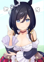 Rule 34 | 1girl, puff of air, animal ears, black hair, blouse, blue eyes, bob cut, bow, breasts, choker, cleavage, closed mouth, clothing cutout, commentary, ear ribbon, eishin flash (umamusume), frilled sleeves, frills, frown, fume, hand on own elbow, highres, horse ears, horse girl, large breasts, long sleeves, looking at viewer, red choker, red sky, shiromaru illust, shirt, short hair, shoulder cutout, sky, solo, swept bangs, umamusume, white shirt
