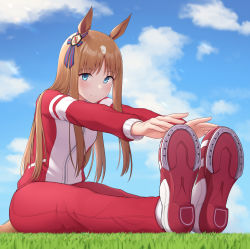 Rule 34 | 1girl, absurdres, animal ears, blue eyes, blush, brown hair, closed mouth, day, grass, grass wonder (umamusume), highres, horse ears, horse girl, horse tail, jacket, jersey, long hair, long sleeves, pants, red jacket, red pants, smile, solo, tail, topgear, track jacket, umamusume