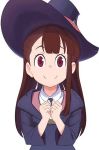 Rule 34 | !, !!, 1girl, animated, blush, brown hair, bug, clenched hands, crazy, drooling, ear insertion, hat, heart, kagari atsuko, little witch academia, looking at viewer, lowres, mhs, mind control, musical note, parasite, red eyes, rolling eyes, runny nose, saliva, smile, snot, tears, video, white background, witch hat, worm