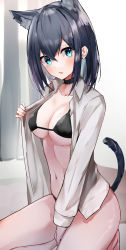 Rule 34 | 1girl, absurdres, animal ear fluff, animal ears, back hair, bad id, bad twitter id, bare legs, between legs, bikini, black bikini, black choker, blue eyes, blush, breasts, cat ears, cat girl, cat tail, choker, collarbone, commentary request, copyright request, hair between eyes, hand between legs, highres, long sleeves, looking at viewer, medium breasts, medium hair, nanashinayuzu mochi, navel, open clothes, open mouth, open shirt, shirt, solo, squatting, stomach, swimsuit, tail, tail raised, white shirt