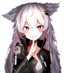 Rule 34 | 1girl, absurdres, animal ears, arknights, beudelb, black jacket, finger to mouth, grey eyes, grey hair, grey shirt, hair ornament, hairclip, highres, index finger raised, jacket, lappland (arknights), long hair, long sleeves, looking at viewer, open clothes, open jacket, parted lips, penguin logistics logo, scar, scar across eye, sharp teeth, shirt, shushing, simple background, solo, teeth, upper body, very long hair, white background, wolf ears, wolf girl