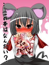Rule 34 | 1girl, aki (akikaze asparagus), animal ears, blush, brown eyes, female focus, grey hair, looking at viewer, mouse ears, nazrin, pornography, scarf, solo, tail, thighhighs, touhou, translated