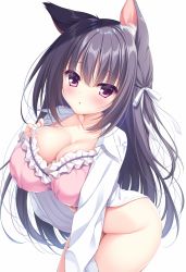 Rule 34 | 1girl, animal ear fluff, animal ears, blouse, blush, bottomless, bra, breasts, cat ears, cat girl, cleavage, collarbone, collared shirt, hair between eyes, hair ribbon, highres, huge breasts, long hair, long sleeves, looking at viewer, open clothes, open mouth, open shirt, original, pink bra, purple eyes, purple hair, ribbon, shirt, simple background, solo, underwear, white background, white ribbon, white shirt, yatanukikey