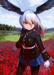 Rule 34 | 10s, 1girl, :&gt;, arms at sides, bald eagle (kemono friends), belt, bird tail, bird wings, black jacket, black pantyhose, blazer, blonde hair, blue skirt, blue sky, blurry, buttons, clenched hands, cloud, cloudy sky, cowboy shot, day, depth of field, dot nose, eyelashes, field, floating hair, flower, flower field, gloves, grass, hair between eyes, head wings, highres, jacket, kemono friends, long hair, long sleeves, looking at viewer, military, military jacket, military uniform, mountain, multicolored hair, outdoors, pantyhose, pleated skirt, pocket, red flower, red hair, skirt, sky, smile, solo, tail, tree, treeware, tsurime, uniform, white belt, white gloves, white hair, wind, wings, yellow eyes