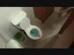 Rule 34 | 1girl, animated, asian, sound, bathroom, japan, japanese (nationality), lowres, photo (medium), restroom, solo, tagme, toilet, video, video