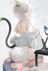 Rule 34 | 1girl, animal ears, areola slip, arknights, ass, back, barefoot, black panties, blush, breasts, cat tail, extra ears, feet, from behind, green eyes, highres, kal&#039;tsit (arknights), large breasts, legs, looking at viewer, looking back, off shoulder, omone hokoma agm, open clothes, open robe, panties, robe, seiza, short hair, sideboob, silver hair, sitting, solo, tail, thighhighs, thighs, underwear, white robe
