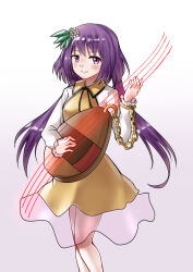 Rule 34 | 1girl, absurdres, ailu elf, biwa lute, chain, chinese commentary, closed mouth, commentary request, dress, feet out of frame, flower, hair flower, hair ornament, highres, holding, holding instrument, instrument, long hair, long sleeves, lute (instrument), purple eyes, purple hair, smile, solo, touhou, tsukumo benben, white flower, yellow dress
