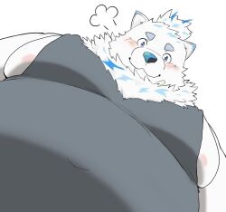Rule 34 | 1boy, :3, animal ears, bandaid, bandaid on face, bara, belly, blush, dog boy, dog ears, fat, fat man, foreshortening, from below, furry, furry male, large pectorals, live a hero, looking at viewer, looking down, male focus, meme, neck fur, nikukyu299paw, nipple slip, nipples, pectoral focus, pectorals, photo-referenced, puff of air, short hair, sidepec, solo, tank top, thick eyebrows, upper body, white fur, yohack, yur oc like this (meme)