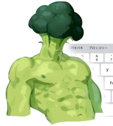 Rule 34 | 1boy, abs, bara, broccoli boy, colored skin, commentary, cropped torso, green skin, highres, keyboard (computer), male focus, mitsubamushi coreless, monster boy, muscular, muscular male, navel, nipples, nude, object head, original, pectorals, plant boy, solo, stomach