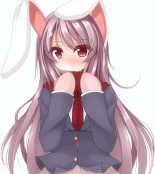 Rule 34 | 1girl, animal ears, blush, chimunge, gloves, jacket, long hair, long sleeves, looking at viewer, mittens, pink gloves, purple hair, rabbit ears, red eyes, reisen udongein inaba, scarf, shirt, simple background, skirt, solo, touhou, very long hair, white background