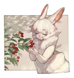 Rule 34 | 1girl, animal ears, berry, blush, branch, closed mouth, colored skin, closed eyes, furry, furry female, hands up, mullmull02, original, rabbit ears, rabbit girl, smile, solo, upper body, white skin