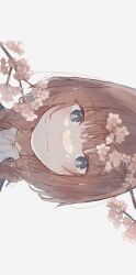 Rule 34 | 1girl, :|, blue eyes, braid, branch, brown hair, cherry blossoms, closed mouth, collared shirt, expressionless, hair over shoulder, highres, kaf (kamitsubaki studio), kamitsubaki studio, keiki (youmkz), long bangs, looking at viewer, low twin braids, portrait, shirt, sidelocks, signature, simple background, solo, straight-on, twin braids, twitter username, water drop, wet, wet hair, white background, white shirt