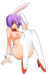 Rule 34 | animal ears, ayane (doa), dead or alive, highres, tagme, tail, tecmo