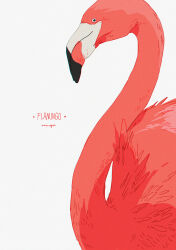 Rule 34 | animal, animal focus, artist name, bird, closed mouth, commentary, english commentary, english text, flamingo, from side, heart, highres, looking ahead, no humans, original, sidelighting, signature, simple background, solo, standing, upper body, white background, white eyes, xi zhang