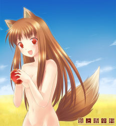 Rule 34 | 00s, 1girl, 6u (eternal land), :d, animal ears, apple, brown hair, cloud, copyright name, day, fang, food, fruit, groin, holding, holding food, holding fruit, holo, kiyu, long hair, navel, nude, open mouth, red eyes, sky, smile, solo, spice and wolf, tail, wolf ears, wolf tail