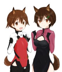 Rule 34 | 2girls, absurdres, alice gear aegis, animal ears, black pants, brave witches, breasts, brown eyes, brown hair, cleavage, cowboy shot, creator connection, crossover, dog ears, dog tail, hair ornament, highres, karibuchi hikari, lowlegist, miyafuji yoshika, multicolored clothes, multiple girls, open mouth, pants, pilot suit, side slit, simple background, smile, squirrel ears, squirrel tail, strike witches, tail, white background, world witches series