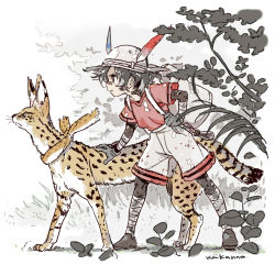 Rule 34 | 1girl, animal, animal print, arm support, backpack, bag, bandaged arm, bandaged leg, bandages, branch, closed mouth, collarbone, dappled sunlight, downscaled, from side, full body, grass, greyscale, hand up, hat feather, helmet, holding strap, injury, kaban (kemono friends), kemono friends, kiikanna, leaf, leaning forward, legs apart, legs together, pantyhose under shorts, looking away, monochrome, monochrome background, outdoors, pantyhose, pith helmet, plant, profile, red shirt, resized, scratches, serval, serval (kemono friends), serval print, shirt, shoes, short hair, short sleeves, shorts, signature, spot color, standing, sunlight, tree, v-shaped eyebrows, white background, white shorts