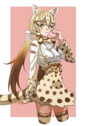 Rule 34 | 1girl, absurdres, animal ear fluff, animal ears, animal print, blonde hair, bow, bowtie, brown hair, cat ears, cat girl, cat print, cat tail, commentary request, cowboy shot, eating, extra ears, food, geoffroy&#039;s cat (kemono friends), hair tie, high-waist skirt, highres, japari bun, kemono friends, long hair, long sleeves, looking at viewer, multicolored hair, print bow, print bowtie, print neckwear, print skirt, print sleeves, print thighhighs, ribbon, shirt, skirt, solo, suspender skirt, suspenders, tail, tanabe (fueisei), thighhighs, twintails, white ribbon, white shirt, yellow eyes, zettai ryouiki