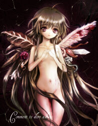 Rule 34 | 1girl, abstract background, absurdly long hair, absurdres, ahoge, asymmetrical wings, blood, blood on leg, bloody wings, breasts, brown hair, commentary request, completely nude, convenient censoring, covering breasts, covering privates, crack, dark background, expressionless, feathered wings, flower, flower wings, french text, hair censor, highres, leaf wings, leche, long hair, looking at viewer, mismatched wings, nude, own hands together, parted lips, plant wings, purple eyes, rose, sayonara wo oshiete, small breasts, snake, solo, sugamo mutsuki, tendril, thigh gap, tongue, very long hair, white wings, wings