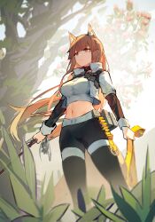 Rule 34 | 1girl, animal ears, arknights, black pants, breasts, brown eyes, brown hair, commentary request, crop top, cropped jacket, flower, fox ears, franka (arknights), franka (rainforest me rainbow) (arknights), grey shirt, highres, holding, jacket, charm (object), leggings, liskarm (arknights), long hair, long sleeves, medium breasts, midriff, navel, official alternate costume, open clothes, open jacket, outdoors, pants, pink flower, rockyroo, shirt, solo, standing, stomach, thighs, tree, very long hair