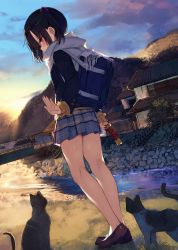 Rule 34 | 1girl, animal, animal ears, bag, bare legs, black hair, blue bag, blue skirt, blue sky, brown footwear, buttons, cat, cloud, cloudy sky, commentary request, food, from behind, full body, grass, hair ornament, hand up, holding, holding food, kamizaki hibana, loafers, long sleeves, medium hair, no legwear, no socks, original, outdoors, pink eyes, pleated skirt, river, rock, scarf, school bag, school uniform, shoes, short twintails, sidelocks, skirt, sky, solo focus, stairs, standing, sunset, sweater, tail, tree, twintails, white scarf, yellow sweater