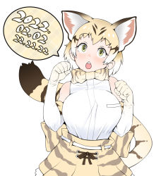 Rule 34 | 1girl, 2022, alternate breast size, animal ears, animal print, bare shoulders, blonde hair, bow, bowtie, breast pocket, breasts, brown hair, cat ears, cat girl, cat tail, colored inner hair, dress, elbow gloves, emil (fafa), extra ears, gloves, hands up, head tilt, high-waist skirt, highres, kemono friends, large breasts, looking at viewer, medium hair, multicolored hair, open mouth, paw pose, pocket, print bow, print bowtie, print dress, print skirt, sand cat (kemono friends), sand cat print, shirt, simple background, skirt, sleeveless, sleeveless shirt, solo, tail, taut clothes, taut shirt, white background, white legwear, white shirt, yellow eyes