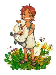 Rule 34 | 1girl, aged down, animal, bandaid, bare legs, bird, bug, butterfly, child, dress, duck, eyelashes, flower, highres, holding, holding animal, insect, looking at viewer, makenevemoiine, nami (one piece), on grass, one piece, open mouth, orange eyes, red hair, sandals, short hair, smile, teeth, transparent background, upper teeth only, white dress