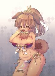 Rule 34 | 1girl, :3, animal ears, arm behind back, artist name, bikini, bra, breasts, brown eyes, brown fur, brown hair, collar, cowboy shot, curled tail, dog, dog ears, dog girl, dog nose, dog tail, fingernails, fluffy, front-tie bikini top, front-tie bra, front-tie top, fundoshi, furry, furry female, hand on own face, hand up, highres, japanese clothes, large breasts, large ears, loincloth, long hair, looking at viewer, nail, nail polish, navel, neck fur, open mouth, original, panties, pelvic curtain, ponytail, racal ra, red bikini, red bra, rope, see-through, shide, side-tie bikini bottom, side-tie panties, side-tie swimsuit, signature, smile, solo, strapless, strapless bikini, strapless bra, swimsuit, tail, tongue, tongue out, twitter username, underwear