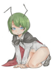 Rule 34 | 1girl, all fours, antennae, blue eyes, blush, bottomless, cape, chestnut mouth, green hair, highres, looking at viewer, navel, open mouth, pushun (muteki), short hair, sketch, solo, touhou, wriggle nightbug