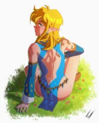 Rule 34 | 1boy, absurdres, ass, back cutout, bare legs, blonde hair, blue eyes, blue nails, clothing cutout, detached sleeves, earrings, frostbite set (zelda), grass, highres, jewelry, levidu99, link, looking at viewer, looking back, male focus, medium hair, nintendo, pointy ears, sitting, solo, the legend of zelda, the legend of zelda: tears of the kingdom, trap