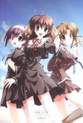 Rule 34 | 3girls, artist request, ef (visual novel), hayama mizuki, miyamura miyako, multiple girls, shindou kei (ef), tagme