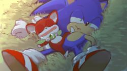 Rule 34 | chip, chip (sonic), furry, furry male, gloves, green eyes, half-closed eyes, male focus, saliva, sega, sleeping, sonic (series), sonic (series), sonic the hedgehog, sonic unleashed, wings