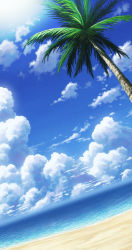 Rule 34 | aoha (twintail), beach, blue sky, cloud, cloudy sky, coconut tree, day, dutch angle, highres, horizon, no humans, ocean, outdoors, palm tree, sand, scenery, shore, sky, tree