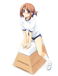 Rule 34 | 1girl, blue eyes, blush, breasts, brown hair, buruma, folded ponytail, full body, gym uniform, hair ornament, hairclip, komaki manaka, looking at viewer, riding, shoes, simple background, socks, solo, tears, to heart (series), to heart 2, vaulting horse, white background, zekkyon