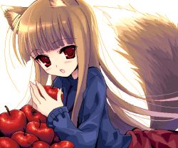 Rule 34 | 00s, 1girl, animal ears, apple, chimaro, food, fruit, holding, holding food, holding fruit, holo, oekaki, solo, spice and wolf, tail, wolf ears, wolf tail