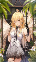Rule 34 | + +, 1girl, animal, animal on head, bare arms, bare shoulders, bird, bird on head, black choker, blonde hair, breasts, cactus, choker, commentary request, cowboy shot, curtain grab, curtains, dress, earrings, elf, flower, grin, hair between eyes, hair flower, hair ornament, highres, jewelry, kim eb, long hair, looking at viewer, medium breasts, on head, original, palm leaf, pointy ears, smile, solo, standing, strapless, thigh strap, white dress, white flower, yellow eyes