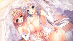 Rule 34 | 2girls, ass, asymmetrical docking, blue eyes, blush, breast press, breasts, bridal veil, brown hair, cecilia highland, choker, circlet, corset, curtains, dutch angle, elbow gloves, fione riese erland, frilled choker, frills, game cg, garter straps, gloves, interlocked fingers, large breasts, long hair, looking at viewer, love love princess, multiple girls, open mouth, rubi-sama, short hair, silver hair, smile, veil, white gloves