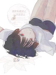 02kf 1girl alternate_costume black_hair black_shorts flower highres limbus_company looking_at_viewer project_moon red_eyes ryoshu_(project_moon) shirt shorts simple_background solo watermark white_background white_flower white_shirt