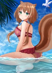 Rule 34 | 1girl, :t, animal, animal ear fluff, animal ears, ayunda risu, bare arms, bare legs, bare shoulders, barefoot, bikini, bird, blue eyes, blush, breasts, brown hair, closed mouth, day, frilled bikini, frills, green eyes, hair ornament, highres, hololive, hololive indonesia, kazenokaze, long hair, looking at viewer, looking to the side, low twintails, outdoors, palm tree, partially submerged, partially underwater shot, pout, shallow water, sitting, sky, soles, solo, squirrel ears, squirrel girl, squirrel tail, swimsuit, tail, tree, twintails, underwater, virtual youtuber, wading, wariza, water