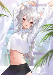 Rule 34 | 1girl, abs, animal ear fluff, animal ears, arms up, bike shorts, cat ears, cat girl, commentary, hair between eyes, highres, long hair, long sleeves, looking at viewer, midriff, navel, nima (niru54), open mouth, original, red eyes, shirt, signature, silver hair, solo, toned, toned female, toned stomach, white shirt