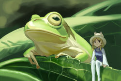 Rule 34 | 1girl, animal, arm support, arms at sides, bad id, bad pixiv id, blonde hair, blurry, breasts, brown eyes, closed mouth, depth of field, frog, frog hat, hair ribbon, hat, leaf, long sleeves, looking away, mini person, minigirl, moriya suwako, plant, ribbon, short hair with long locks, sitting, small breasts, smile, thighhighs, tomitayaki, touhou, tress ribbon, turtleneck, vest, white thighhighs, wide sleeves