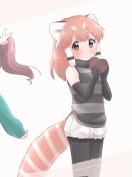 Rule 34 | 2girls, absurdres, animal ears, brown eyes, brown hair, chocolate, elbow gloves, extra ears, gloves, highres, kemono friends, kuromitsu (9633 kmfr), long hair, multiple girls, pantyhose, red panda (kemono friends), red panda ears, red panda girl, red panda tail, ribbon, shorts, simple background, sleeveless, sweater, tail, twintails, valentine