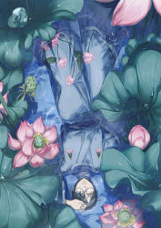 Rule 34 | 1boy, absurdres, black hair, blue eyes, blue hakama, cemony, day, dew drop, feet out of frame, floral print, flower, frown, glasses, hakama, hand on own forehead, heterochromia, highres, japanese clothes, kimono, knee up, leaf, long sleeves, looking at viewer, lotus, lotus pod, lying, male focus, nature, on back, partially submerged, pond, rain, short hair, solo, upside-down, watanuki kimihiro, water, water drop, wet, wet clothes, xxxholic, yellow eyes