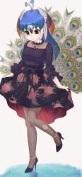 Rule 34 | 1girl, absurdres, anklet, bird girl, bird tail, bird wings, black dress, black footwear, black pantyhose, black sleeves, blue hair, brown eyes, brown hair, collar, dress, floral print, frilled collar, frilled sleeves, frills, head wings, high heels, highres, hoshino mitsuki, jewelry, kemono friends, kemono friends 3, long hair, multicolored hair, necklace, official alternate costume, orange hair, pantyhose, peacock feathers, peafowl (kemono friends), simple background, solo, standing, standing on one leg, tail, white background, wings